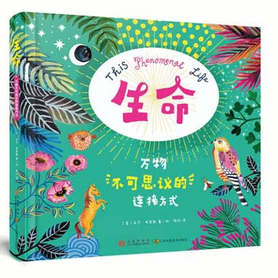 哪里有针对青少年的篮球声誉培养计划_1